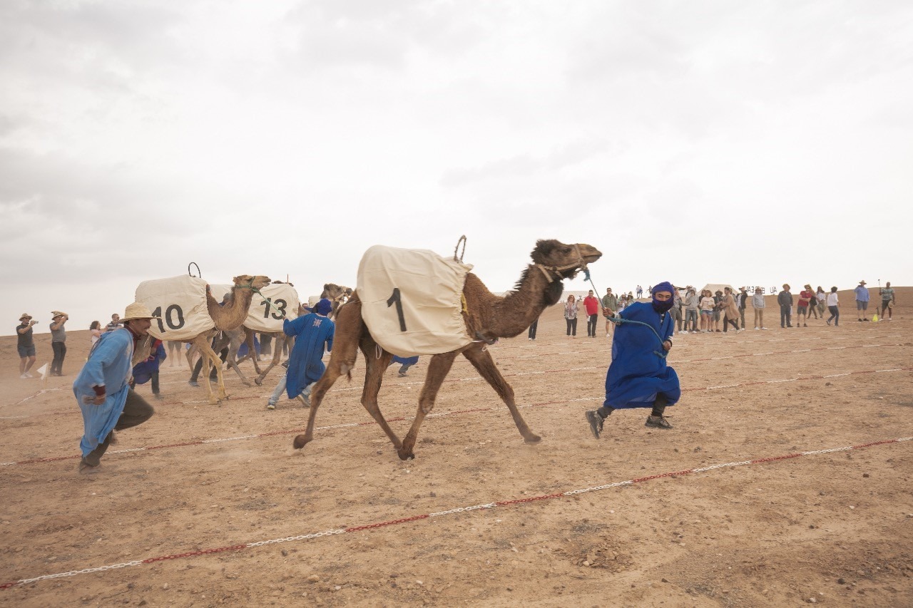 oreganiser un séminaire en 2024 à Marrakech