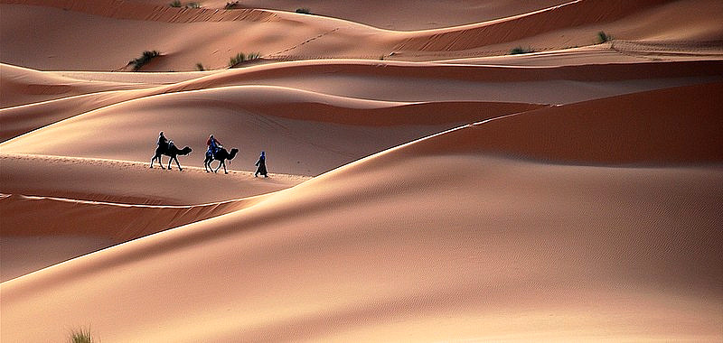 Excursion dans le désert de Merzouga depuis Marrakech en caravane